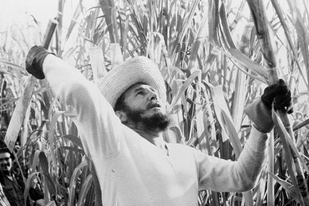 Ecologías Tricontinentales: medios antiimperialistas y la lucha por un metabolismo social soberano