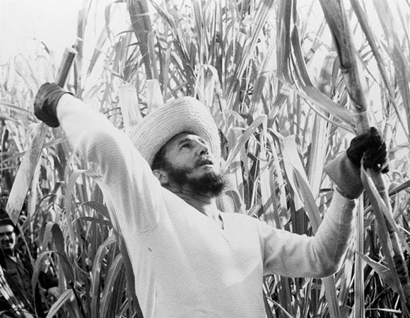 Ecologías Tricontinentales: medios antiimperialistas y la lucha por un metabolismo social soberano