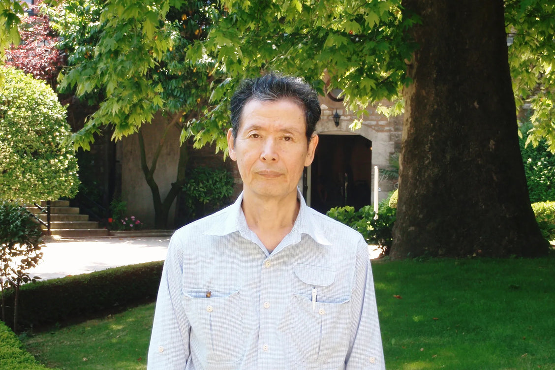 Japón, modernidad, literatura, origen: poner todo entre paréntesis